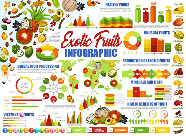 Egzotik tropikal meyveler, sağlıklı gıda infografik - Vektör, Görsel