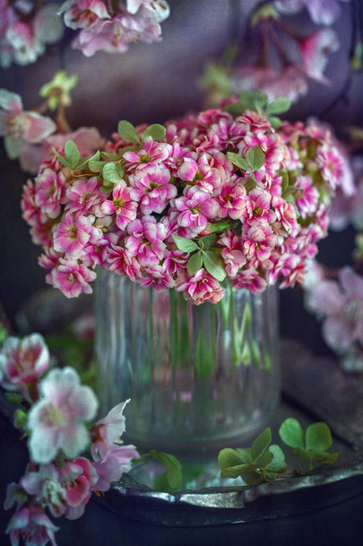Lovely bunch of flowers. Pink Kalanchoe flowers on the table. - Foto, Bild