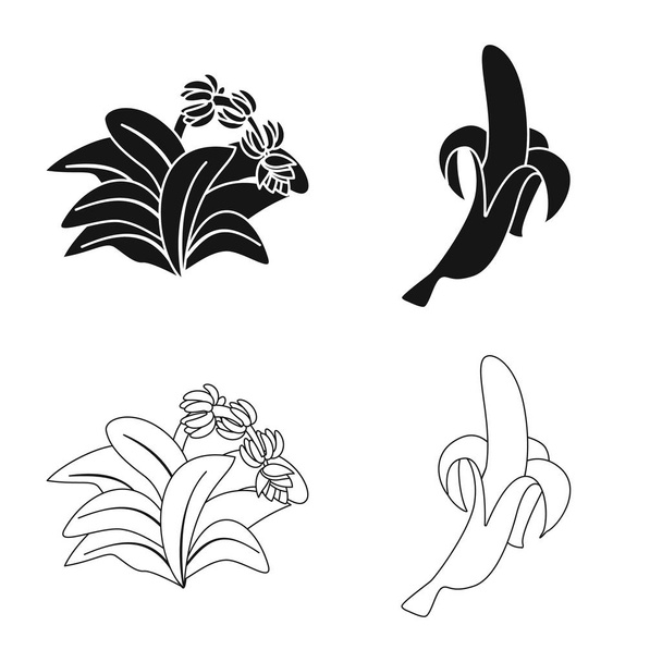Vector illustration of natural and vegetarian logo. Set of natural and eating stock vector illustration. - Vektor, kép