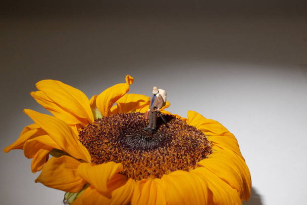 μια ταξιδιωτική φιγούρα που στέκεται πάνω σε λουλούδι - Φωτογραφία, εικόνα