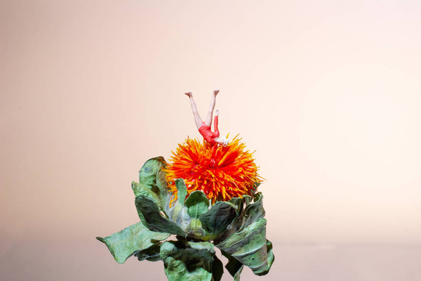 花の体操をするミニフィギュア - 写真・画像