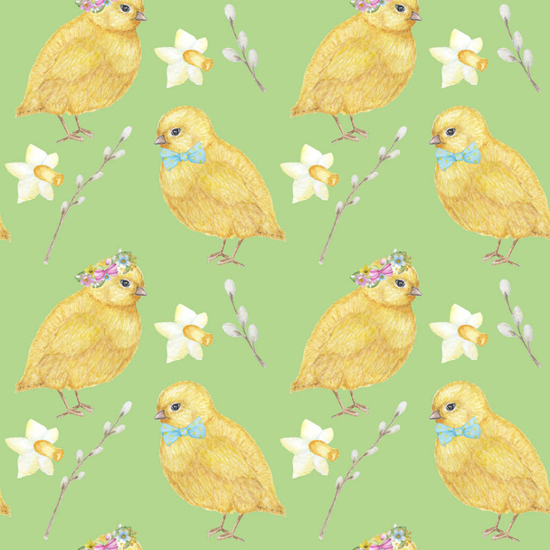 Seamless Easter pattern Watercolor hand drawn of yellow chiken couple, Spring flowers, willow, bow. Colorful bird, chikens baby on white background. Design for invitation, poster, card, fabric - 写真・画像