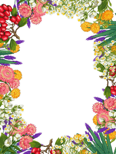 Hand drawn medicinal plant frame. Healing herbs border. isolated on white background - Φωτογραφία, εικόνα