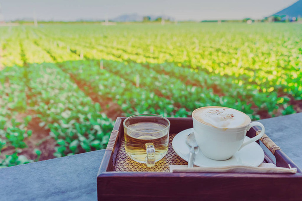 Kuumaa kahvia valkoisessa kupissa ja kiinalaista teetä rentouttavaan taukoon maanviljelijöille iltapäivällä
 - Valokuva, kuva
