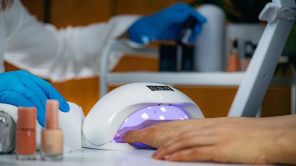 UV Lamp for Nails. Manicure Treatment in Beauty Salon - Photo, Image