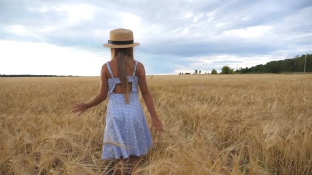 Little girl in straw hat walking through wheat field, turning to camera and smiling. Cute child with long blonde hair touching golden ears of crop. Small kid in dress going over the meadow of barley - Footage, Video