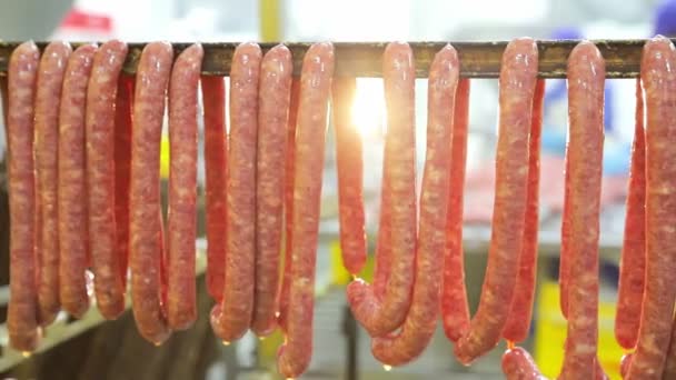 Production of small hunting sausages of wild boars. Workers strung small sausages on the shelves for further cooking in the oven. - Footage, Video
