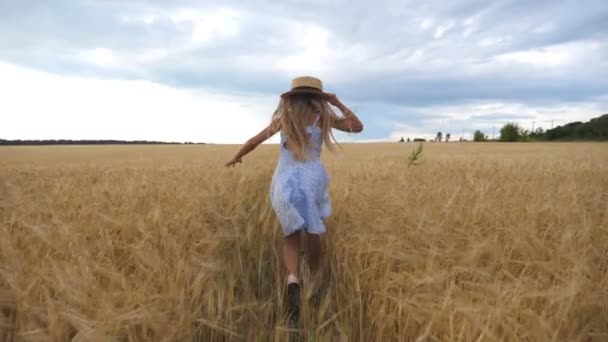 Enfant mignon avec de longs cheveux blonds traversant le champ de blé. Petit enfant en chapeau de paille faisant du jogging sur la prairie d'orge. Petite fille en robe passant du temps à la plantation d'or. Vue arrière Mouvement lent - Séquence, vidéo