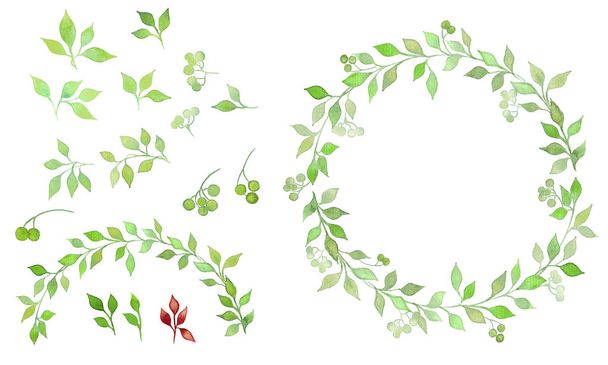 акварелі декоративне листя і набір вінків
 - Фото, зображення
