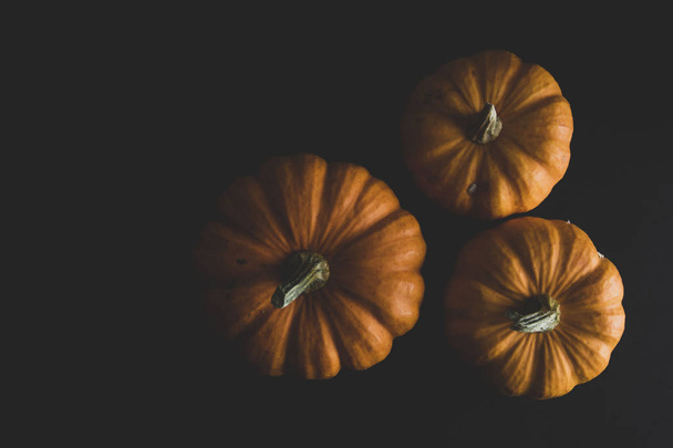 Orange littlep pumpkins on dark wooden background rustic style halloween, thanksgiving, autumn - Fotó, kép