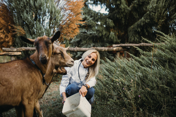 Veterinarian and beautiful goat outdoors at ranch.  - 写真・画像