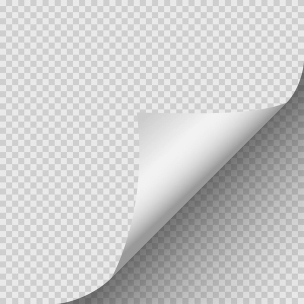 Curled corner of paper with shadow on transparent background. Vector illustration. - Vector, Image