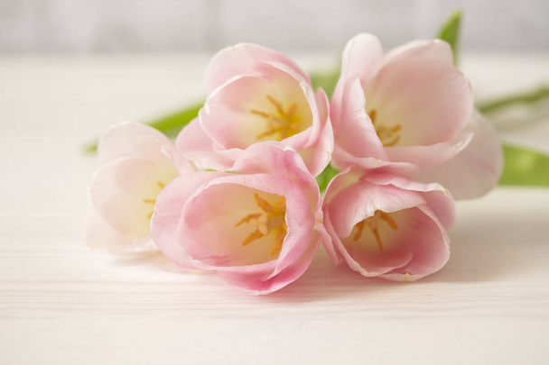 kytice jemně růžových tulipány na bílém dřevěném stole. Tenké plátky Tulipán květy s výlišejníky a broskvemi, skupina růžových květů, pohled na pohlednici - Fotografie, Obrázek