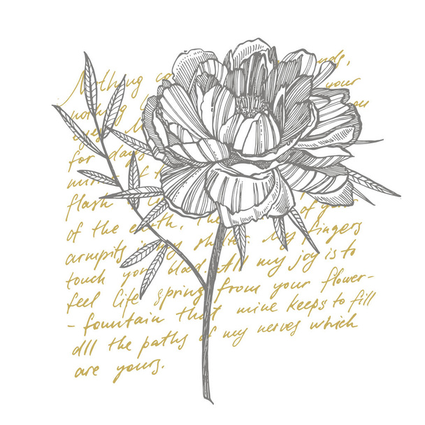 Bazsarózsa virág és levelek rajz. Kézzel rajzolt vésett virágkészlet. Botanikai illusztrációk. Nagy a tetoválás, meghívók, üdvözlőlapok. Kézzel írott absztrakt szöveg - Vektor, kép