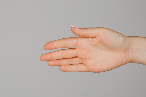 Female hand on white background. - Photo, Image