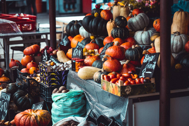 Different color pumpkins on outdoor market table, autumn food - Foto, Imagem