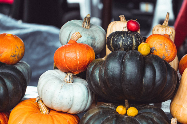 Různé barvy dýně na venkovním trhu stůl, podzimní jídlo - Fotografie, Obrázek