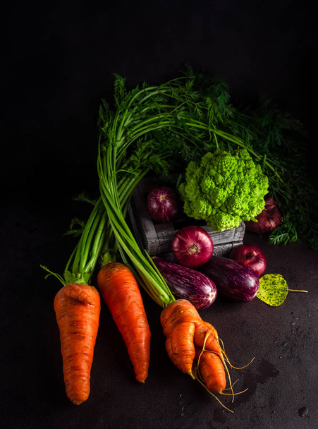 Ποικιλία φρέσκων λαχανικών κήπου, όπως καρότα με κορυφές, μελιτζάνες, λάχανο Ρομανέσκο σε σκοτεινό φόντο - Φωτογραφία, εικόνα