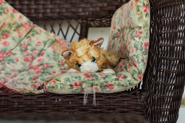 puha játék párna szék belső kényelmes otthoni környezet  - Fotó, kép