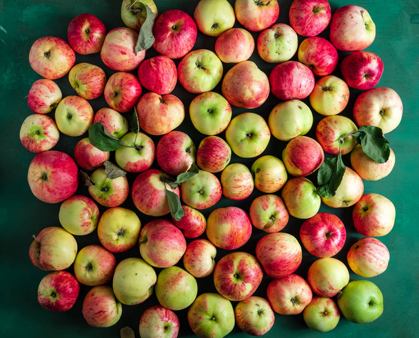 Grote groep rijpe appels achtergrond op groen verkroerd oppervlak - Foto, afbeelding