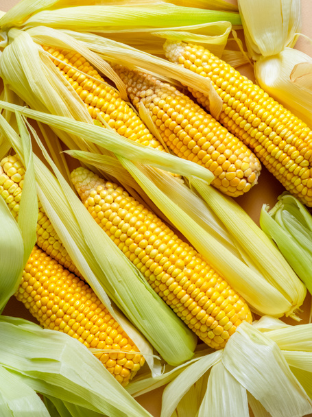 Vista de cerca de mazorcas de maíz amarillo crudo con hojas
 - Foto, imagen