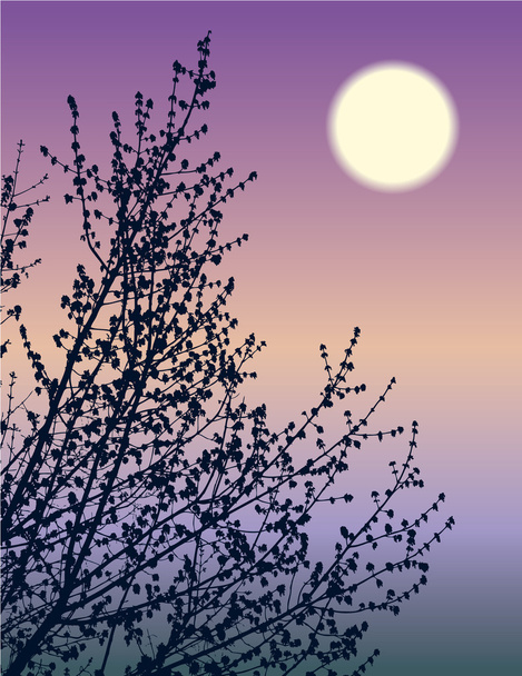 Blossoming branches - Vector, Image