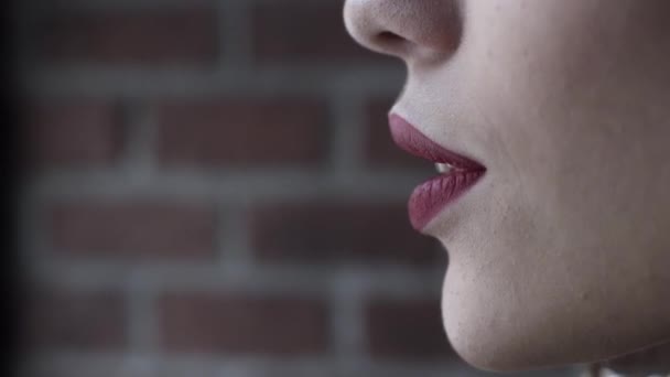 Oldalnézet portré egy szexi nő modell fényes ajkak smink és egészséges fényes bőr, szépség koncepció. Felvétel. Közelről, ahogy egy gyönyörű nő nyalogatja az ajkait. - Felvétel, videó