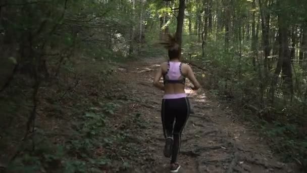 Fitness ragazza bruna con coda di cavallo e abbigliamento sportivo jogging nella foresta estiva
 - Filmati, video