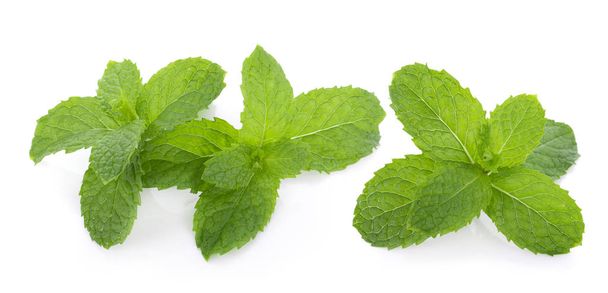 Peppermint on white background - Photo, Image