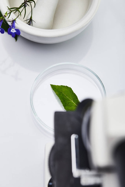 top view of leaf on glass near mortar with pestle and microscope on white table - Photo, Image