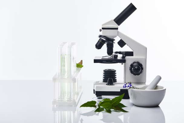 tubes à essai en verre, mortier avec pilon près des plantes et microscope isolé sur blanc
 - Photo, image