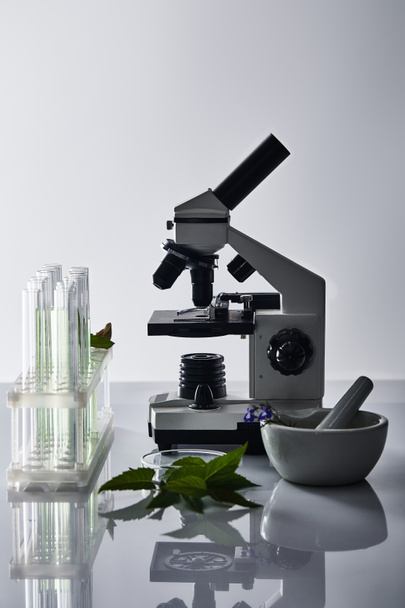 tubos de ensayo de vidrio, mortero con mortero cerca de las plantas y microscopio sobre fondo gris
 - Foto, Imagen
