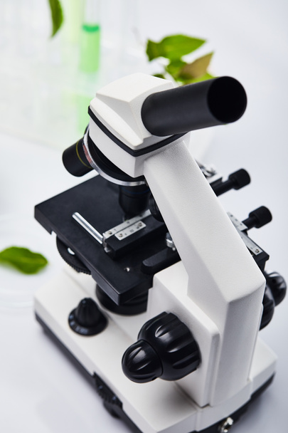 επιλεκτική εστίαση του μικροσκοπίου κοντά σε γυάλινους δοκιμαστικούς σωλήνες με πολύχρωμο υγρό και φύλλα - Φωτογραφία, εικόνα