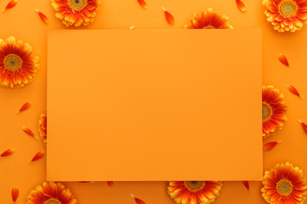 top view of gerbera flowers and empty card on orange background - Fotoğraf, Görsel