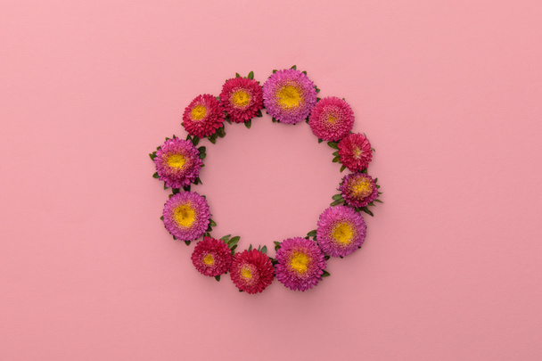 wreath of purple asters on pink background with copy space - Foto, Imagen