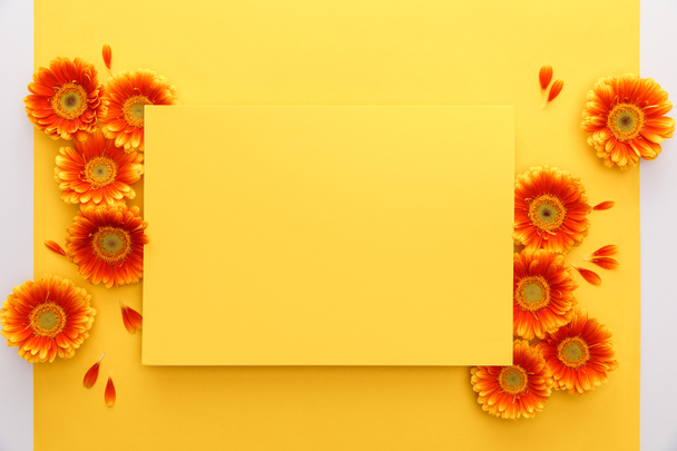 Draufsicht auf orangefarbene Gerbera-Blumen und leeres Papier auf gelbem Hintergrund - Foto, Bild