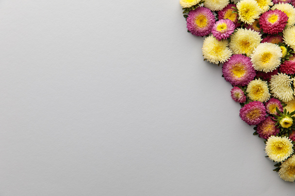top view of yellow and purple asters on white background with copy space - Photo, Image