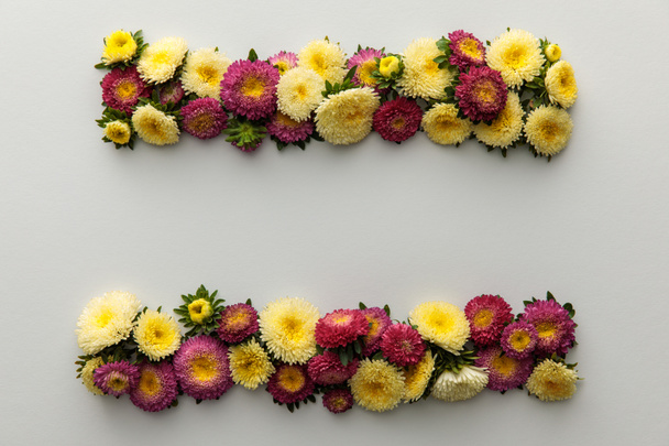 top view of yellow and purple asters on white background with copy space - Valokuva, kuva