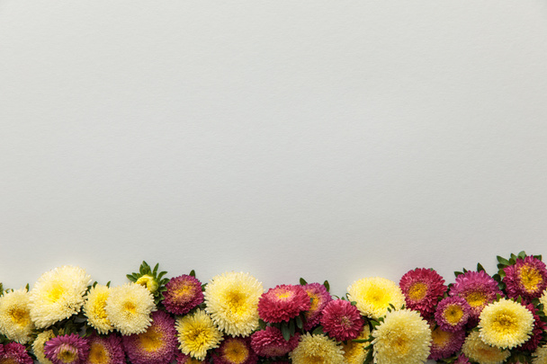 vue de dessus des asters jaunes et violets sur fond blanc avec espace de copie
 - Photo, image