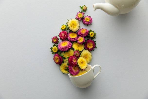 top view of asters poring from teapot in cup on white background - Foto, imagen