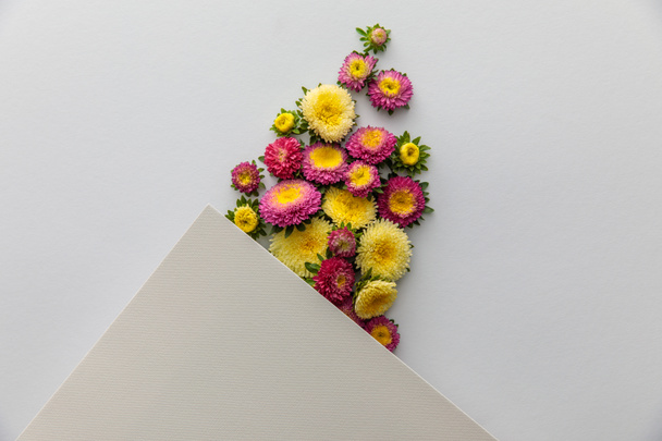 top view of yellow and purple asters and blank paper on white background - Foto, immagini
