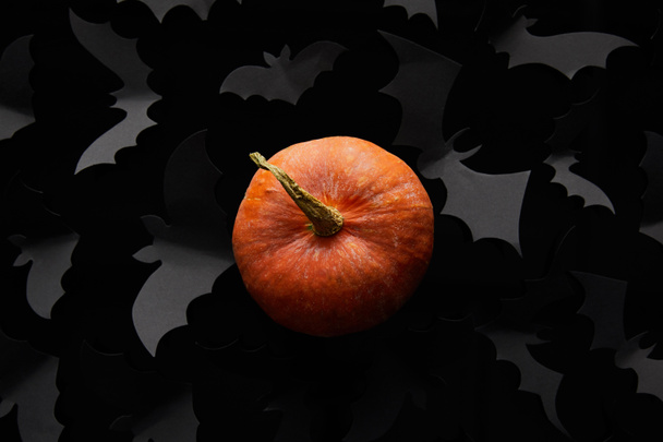 top view of pumpkin and paper bats on black background, Halloween decoration - Fotó, kép