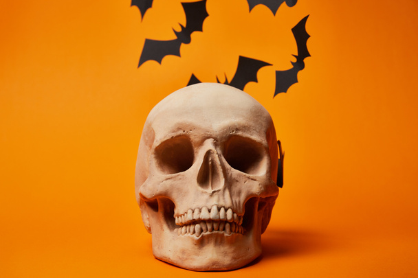 paper bats and human skull on orange background, Halloween decoration - Φωτογραφία, εικόνα