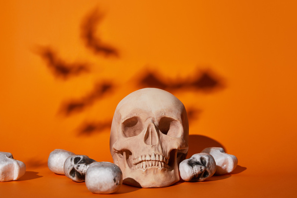 skulls with bats shadow on orange background, Halloween decoration - Fotografie, Obrázek