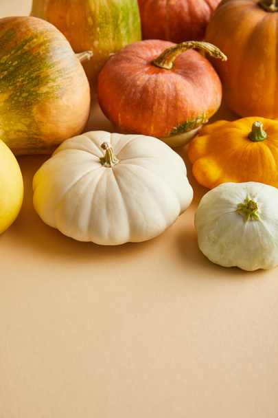 ripe whole colorful pumpkins on beige background - Фото, изображение