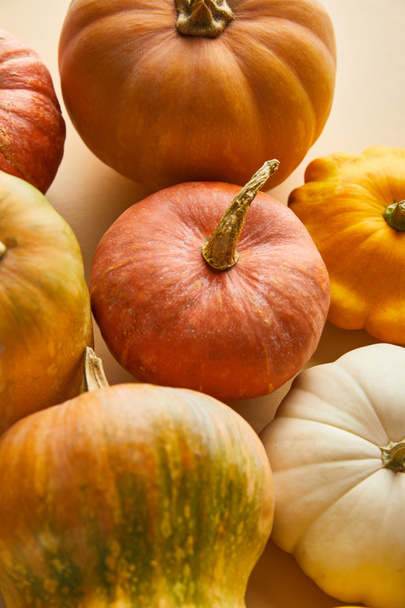 ripe whole colorful pumpkins on beige background - Foto, afbeelding