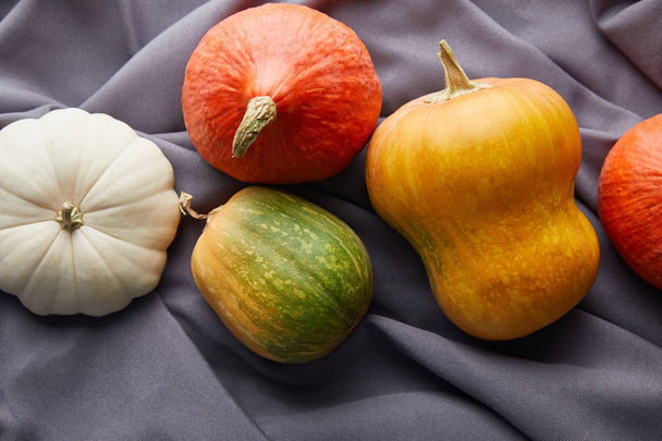 ripe whole colorful pumpkins on grey cloth - Foto, afbeelding