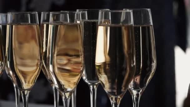 Verschillende elegante glazen Champagne - Video