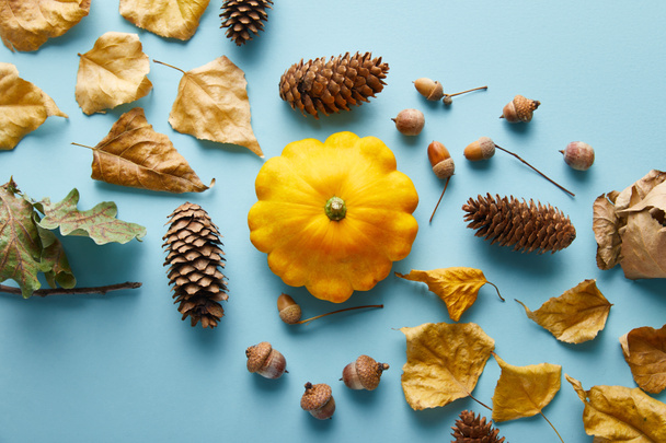 ripe whole colorful Pattypan squash and autumnal decor on blue background - 写真・画像