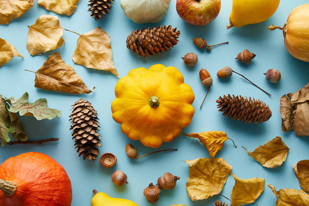 ripe whole colorful pumpkins and autumnal decor on blue background - Foto, Imagem